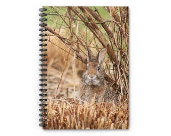 Cottontail Rabbit Spiral Notebook - Ruled Line
