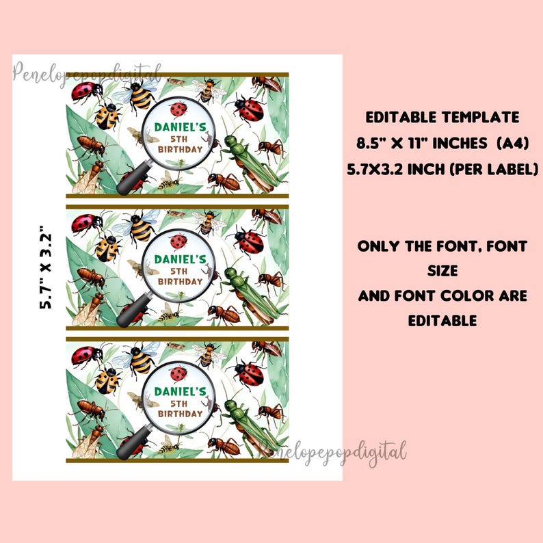 Editable Bug Insect Birthday Gable Box Label, Insect Birthday Party ...