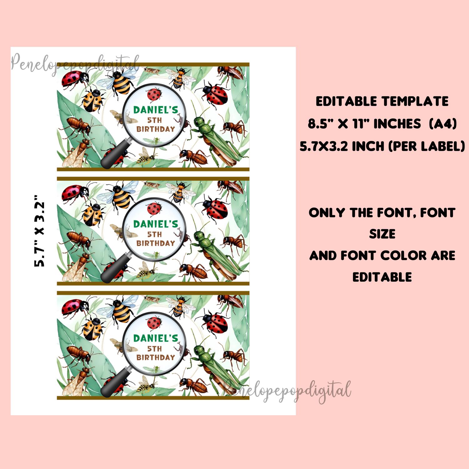 Editable Bug Insect Birthday Gable Box Label, Insect Birthday Party ...