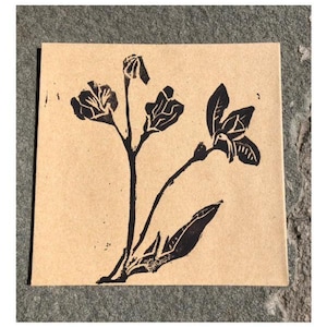 Baptisia australis, False Indigo Seeds + block printed art pack