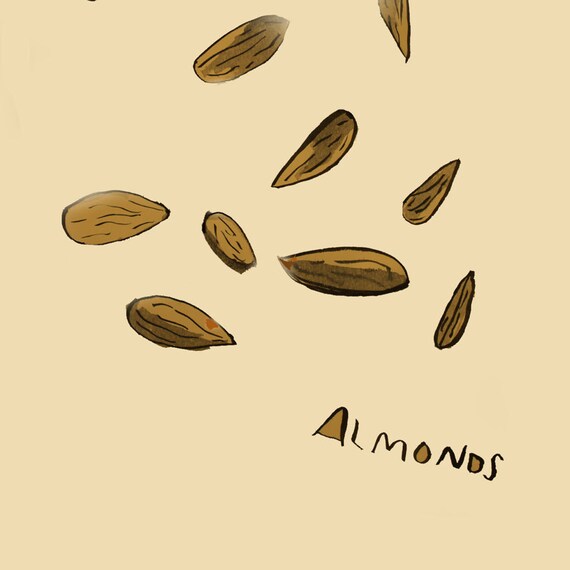 Items similar to Almonds giclee print on Etsy