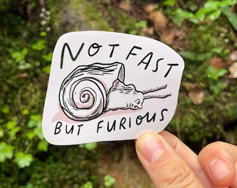 Niet Fast but Furious vinylsticker