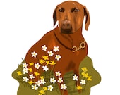 Pet portrait
