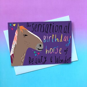 Sensational Birthday Horse cc164 image 2