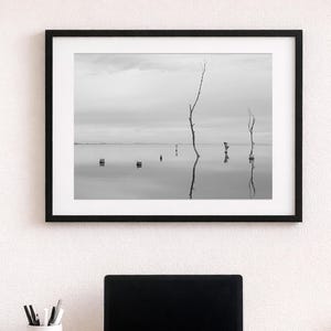 Puede incluir: Una fotografía de paisaje en blanco y negro dentro de un marco negro que muestra una masa de agua tranquila con varios árboles desnudos y sin hojas que emergen de la superficie, creando un reflejo sereno bajo un cielo suave y nublado.