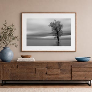 Puede incluir: Fotografía en blanco y negro enmarcada de un árbol en el agua. El árbol está centrado, con un cielo nublado de fondo. La fotografía se muestra sobre un mueble de madera.