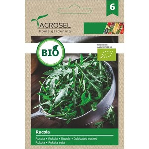 Arugula vegetable seeds, AS-PG6-ECO, Agrosel