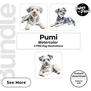 Pumi Dog Cipart, Clipart Designs, Dog Breed PNG File cute dog clipart bundle dog breeds pack, cartoon dog png,dog 3d clipart, watercolor
