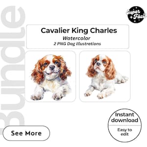 Cavalier King Charles Dog Clipart, Clipart Designs, Dog Breed PNG File cute dog clipart bundle dog breeds pack, cartoon dog png, dog 3d
