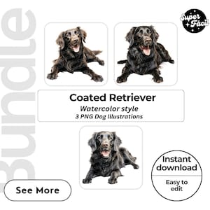 Coated Retriever Dog Clipart, Clipart Designs, Dog Breed PNG File cute dog clipart bundle dog breeds pack, cartoon dog png, dog 3d clipart