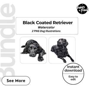 Black Coated Retriever Dog Clipart, Clipart Designs, Dog Breed PNG File cute dog clipart bundle dog breeds pack, cartoon png, dog 3d clipart