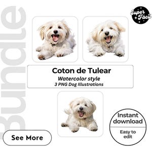 Coton de Tulear Dog Cipart, Clipart Designs, Dog Breed PNG File cute dog clipart bundle dog breeds pack, cartoon dog png, dog 3d clipart,