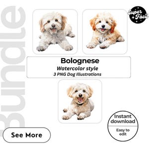 Bolognese Dog Clipart, Clipart Designs, Dog Breed PNG File cute dog clipart bundle dog breeds pack, cartoon dog png, dog 3d clipart,