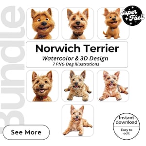 Norwich Terrier Dog Cipart, Clipart Designs, Dog Breed PNG File cute dog clipart bundle dog breeds pack, cartoon dog png, dog 3d clipart,