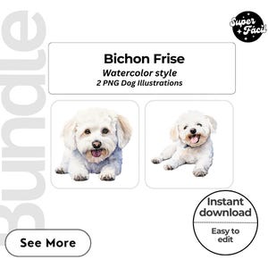 Bichon Frise Dog Clipart, Clipart Designs, Dog Breed PNG File cute dog clipart bundle dog breeds pack, cartoon dog png, dog 3d clipart,