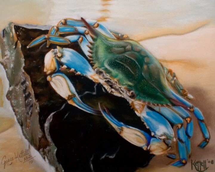 Chesapeake Bay Blue Crab Art Print Giclee Reproduction of