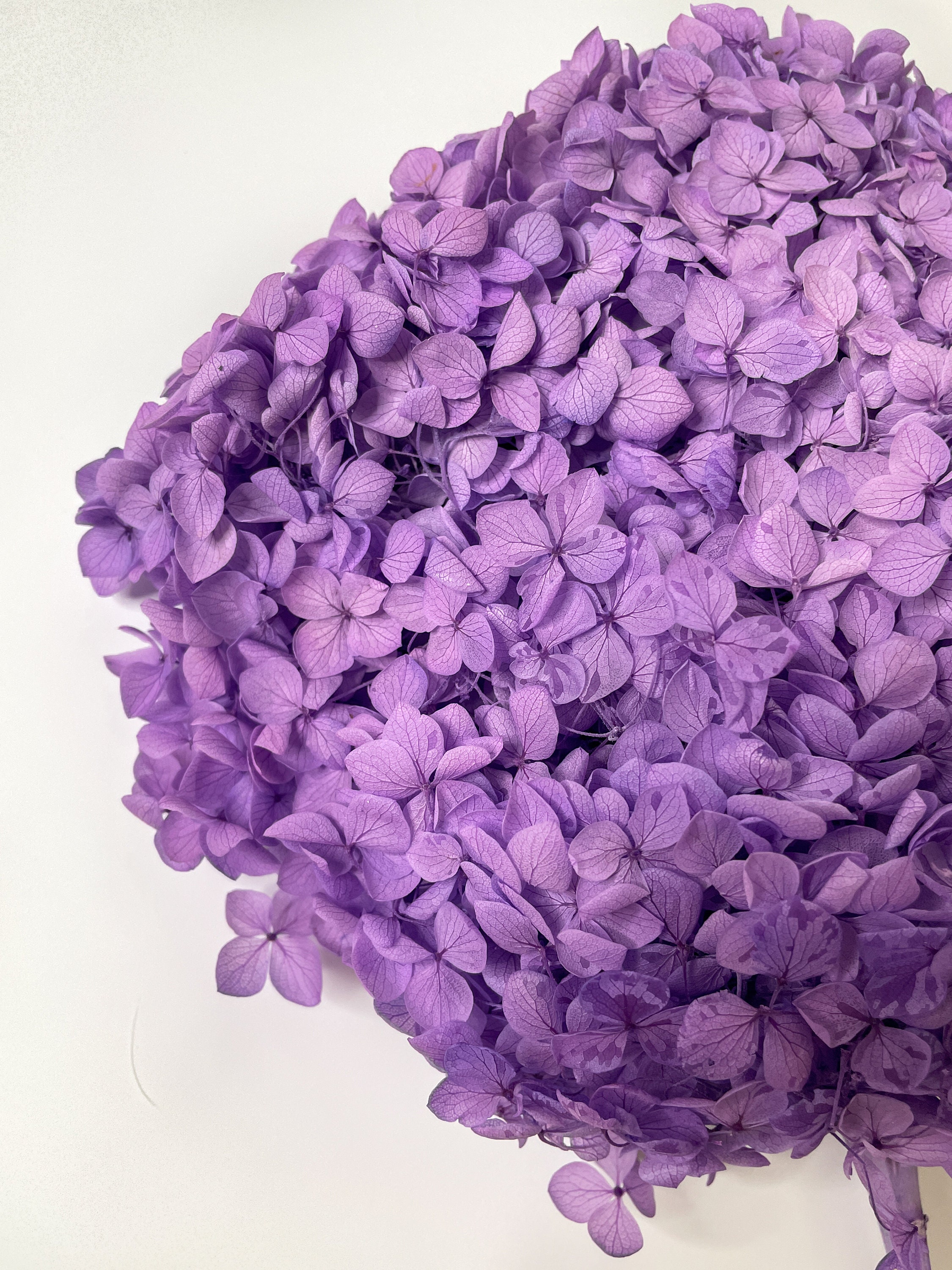 Dried Hydrangea Hydrangea Flower Hydrangea Bouquet purple Etsy UK