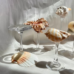 Custom Name Seashell Wine Glasses, Wedding Bridesmaids Gift,Beach Shell Martini Glasses, Shell Wine Glasses,Trending Valentine&#39;s Day Gifts