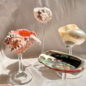 Custom Name Seashell Wine Glasses, Wedding Bridesmaids Gift,Beach Shell Martini Glasses, Shell Wine Glasses,Trending Valentine&#39;s Day Gifts