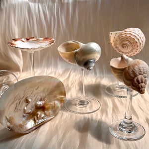 Custom Name Seashell Wine Glasses, Wedding Bridesmaids Gift,Beach Shell Martini Glasses, Shell Wine Glasses,Trending Valentine&#39;s Day Gifts