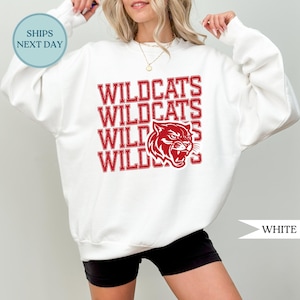 Custom Mascot Shirts, Mascot Team Sweatshirt, Back to School Shirt, Retro Mascot Shirt, School Spirit Shirt, Personalized School Team Name