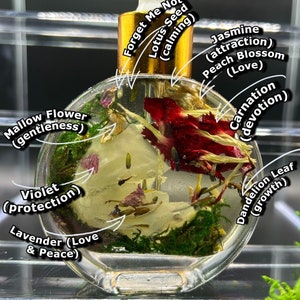 Devotion Pheromone- Attraction Oil - Manifestation Oil, Spell Oil, Ritual Oil, Love Oil, Specific Person, Love Spell, Lust Oil, Passion Oil