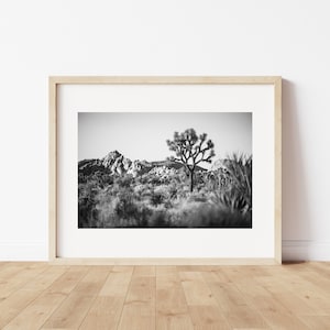Joshua Tree Landscape Black and White - Fine Art Photography Print by Corianne Santana // Joshua Tree // National Park // California