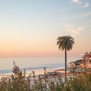 May include: A scenic coastal view at sunset. A tall palm tree stands prominently near the beach, with houses on a cliffside. The sky transitions from blue to orange, reflecting on the ocean. Bushes are in the foreground.