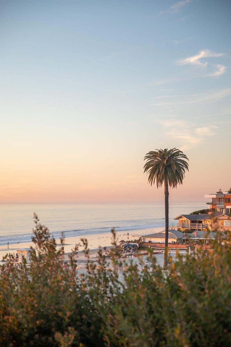 May include: A scenic coastal view at sunset. A tall palm tree stands prominently near the beach, with houses on a cliffside. The sky transitions from blue to orange, reflecting on the ocean. Bushes are in the foreground.