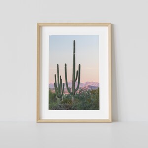 Saguaro Sonnenaufgang Fotografie - Fine Art Fotografie von Corianne Santana // Arizona // Nationalpark // Kaktus // Sonora-Wüste // Bunter Sonnenaufgang