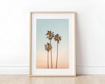 Sunset Palms // Fine Art Photography Print by Corianne Santana // La Jolla, California // San Diego Surf Beach Wall Art