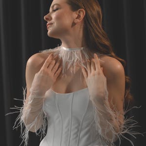 May include: A white corset top featuring a structured bodice with vertical seams, paired with a matching white choker and sheer opera-length gloves, both embellished with delicate white feathers along the edges and cuffs.