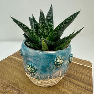 May include: A small succulent plant in a handcrafted ceramic pot. The pot is a vibrant turquoise blue with leaf-shaped embellishments and a textured, off-white base. The plant has dark green, pointed leaves with white spots.