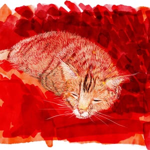 Sleeping Beauty – Digitale Postkarte mit schlafender Katze auf Rot