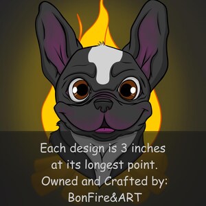 Franse Bulldog