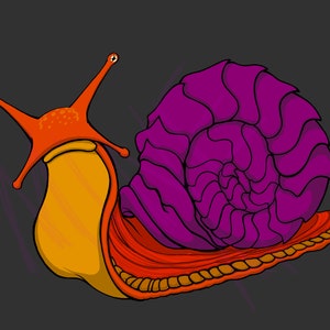 Adesivo lumaca armatura