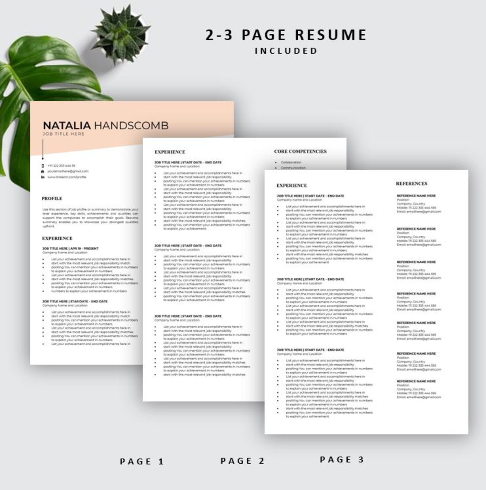 Clean Resume Template 164, Modern Resume Template Word, ATS Friendly ...