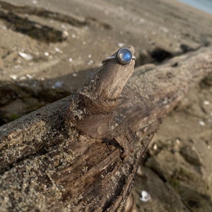Op de afbeelding: Een zilveren ring met een blauwe maansteen gezet in een getextureerde bezel. De ring ligt op een stuk drijfhout.