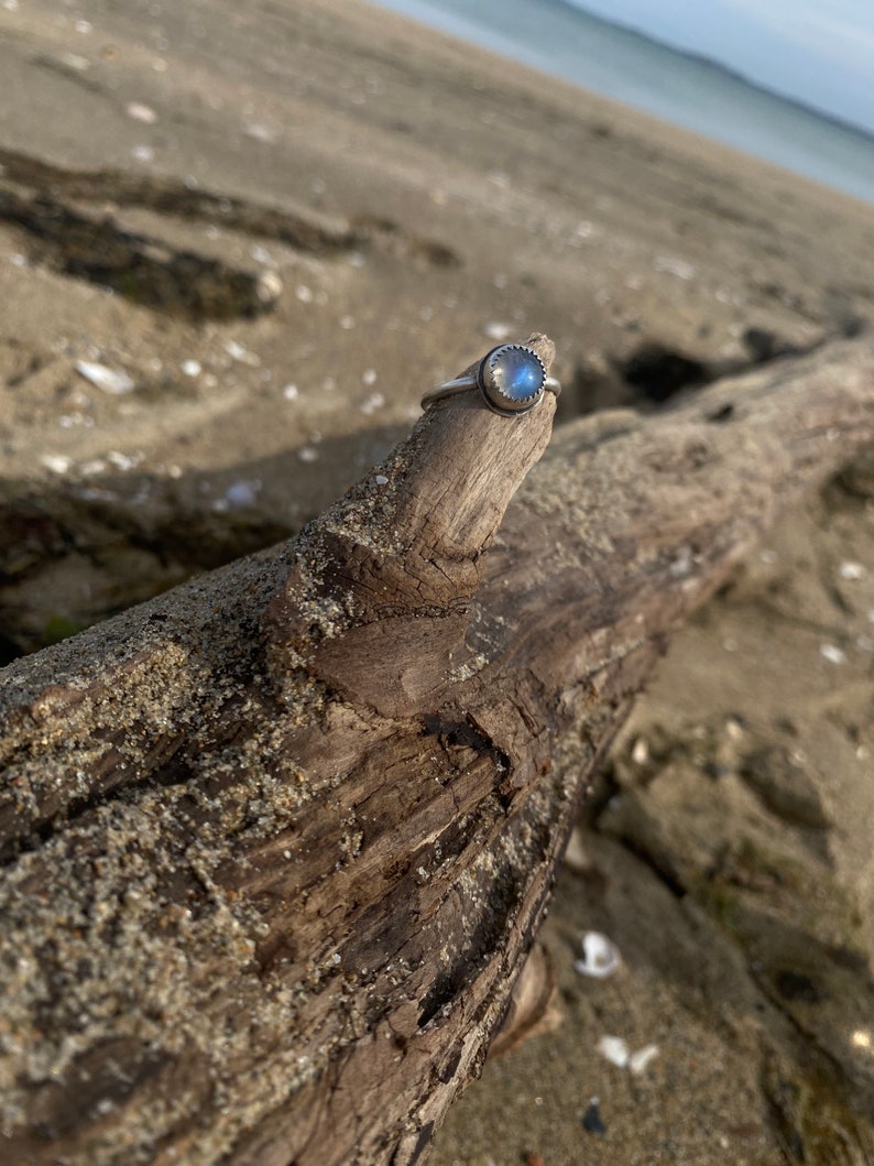 Op de afbeelding: Een zilveren ring met een blauwe maansteen gezet in een getextureerde bezel. De ring ligt op een stuk drijfhout.