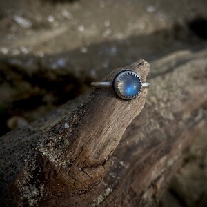 Op de afbeelding: Een zilveren ring met een blauwe maansteen gezet in een zilveren bezel. De ring ligt op een stuk drijfhout.