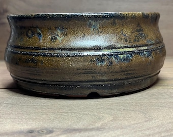 May include: A brown ceramic bonsai pot with a dark glaze and a red rim. The pot has a rounded shape and a slightly flared lip.