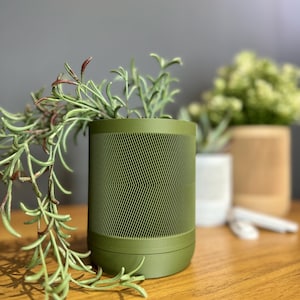 May include: A green ceramic planter with a textured pattern, filled with a leafy green plant. The planter is sitting on a wooden surface.