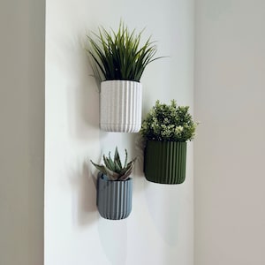 Puede incluir: Tres macetas de pared con diferentes plantas. La maceta de la izquierda es gris, la del medio es blanca y la de la derecha es verde.