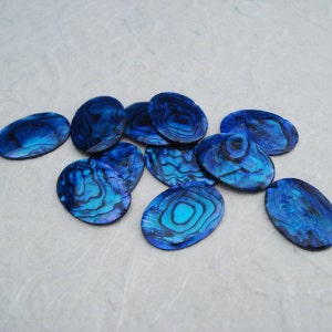 May include: A collection of oval-shaped, iridescent blue abalone shell pieces. The shells display swirling patterns of blue, teal, and black, with a polished, glossy finish. The shells are scattered on a light gray surface.