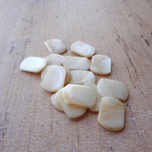 May include: A collection of smooth, off-white, irregularly shaped shell pieces. The pieces have a pearlescent sheen and vary slightly in size and form. They are scattered on a light brown, wood-grain surface.