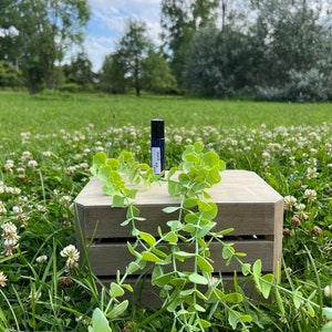 Puede incluir: Una pequeña botella de vidrio azul con un aplicador de bola rodante se encuentra sobre una caja de madera con ramas verdes frondosas. La botella está etiquetada con "Sleepy Time".