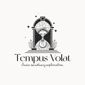 TEMPUS VOLAT 45 Eclectic Logo Design sacred, magical, coaching, spiritual, hourglass, celestial, boutique, hypnotherapy, time logo image 1