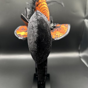 Puede incluir: Una diadema con una banda cubierta de terciopelo negro y una oreja central de terciopelo negro. Un sombrero de bruja en miniatura con un patr&oacute;n de encaje naranja y negro se sit&uacute;a detr&aacute;s de la oreja, decorado con plumas negras y una banda plateada.