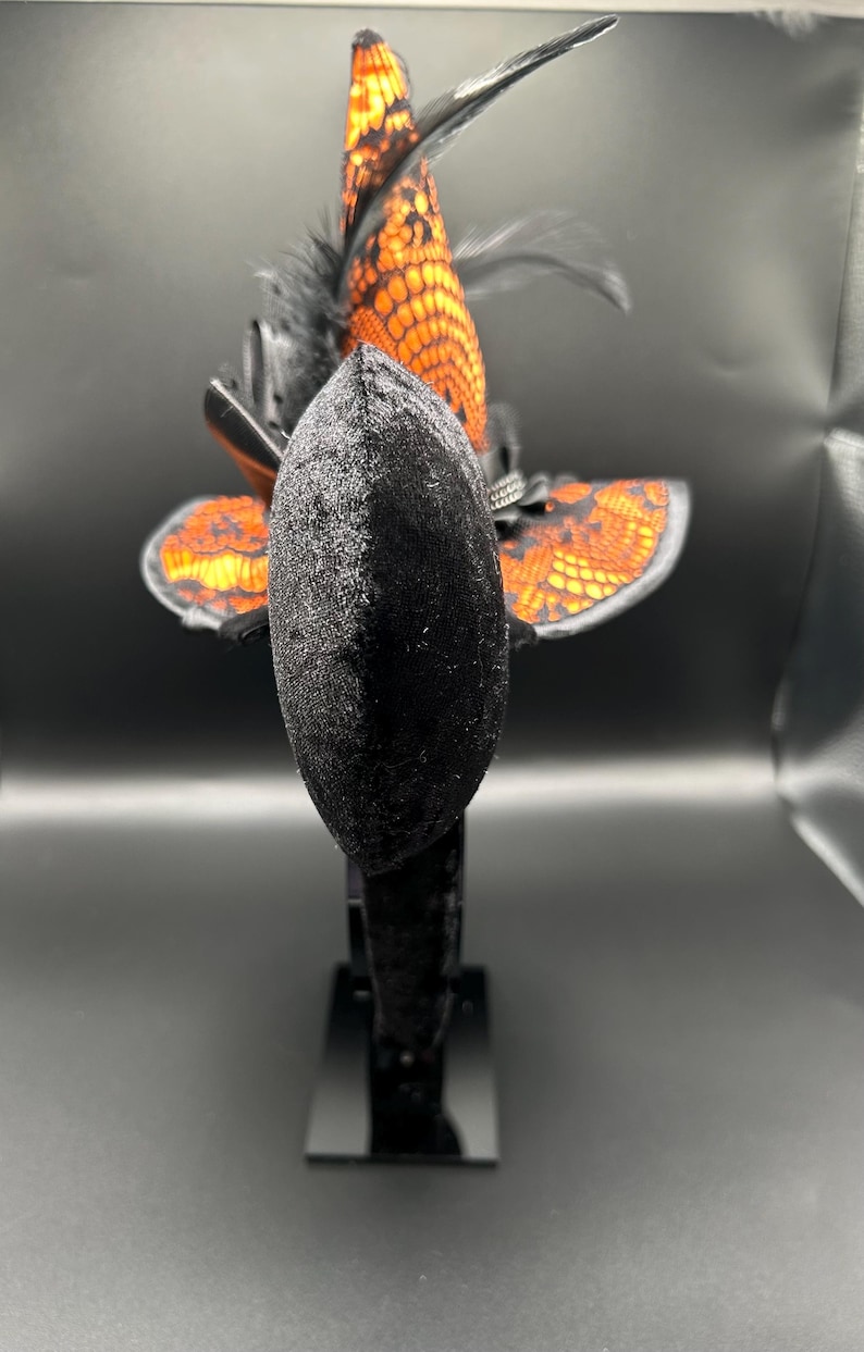 Puede incluir: Una diadema con una banda cubierta de terciopelo negro y una oreja central de terciopelo negro. Un sombrero de bruja en miniatura con un patr&oacute;n de encaje naranja y negro se sit&uacute;a detr&aacute;s de la oreja, decorado con plumas negras y una banda plateada.