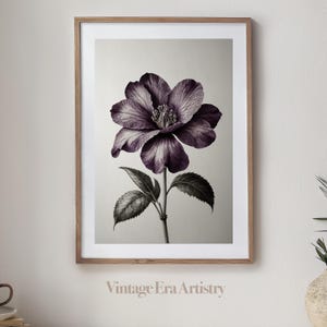 Vintage Stunning Purple Flower Sketch, Illustration, High Quality Printable Art, Digital Download, Digital Art Printable Artwork | PS0070